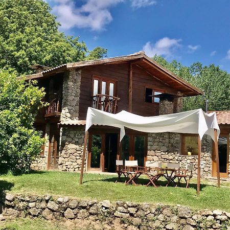 Quinta Dos Carvalhos The Wine House Farm In Center Of Lamego - Capital Of The Douro Villa Esterno foto