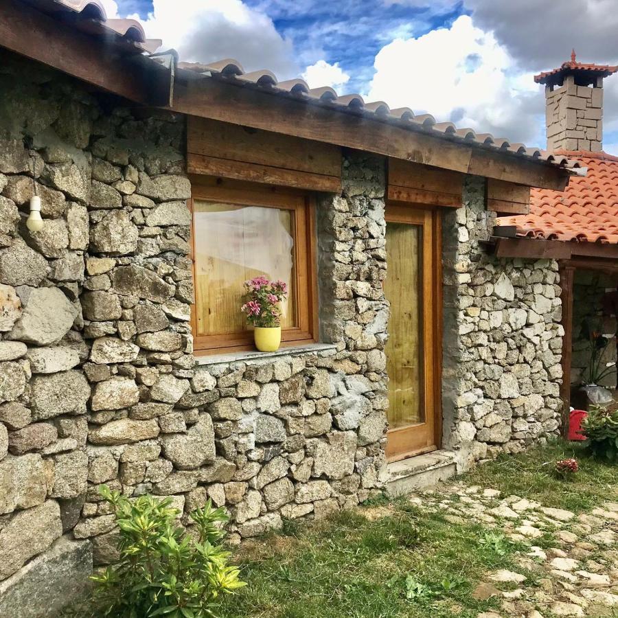 Quinta Dos Carvalhos The Wine House Farm In Center Of Lamego - Capital Of The Douro Villa Esterno foto