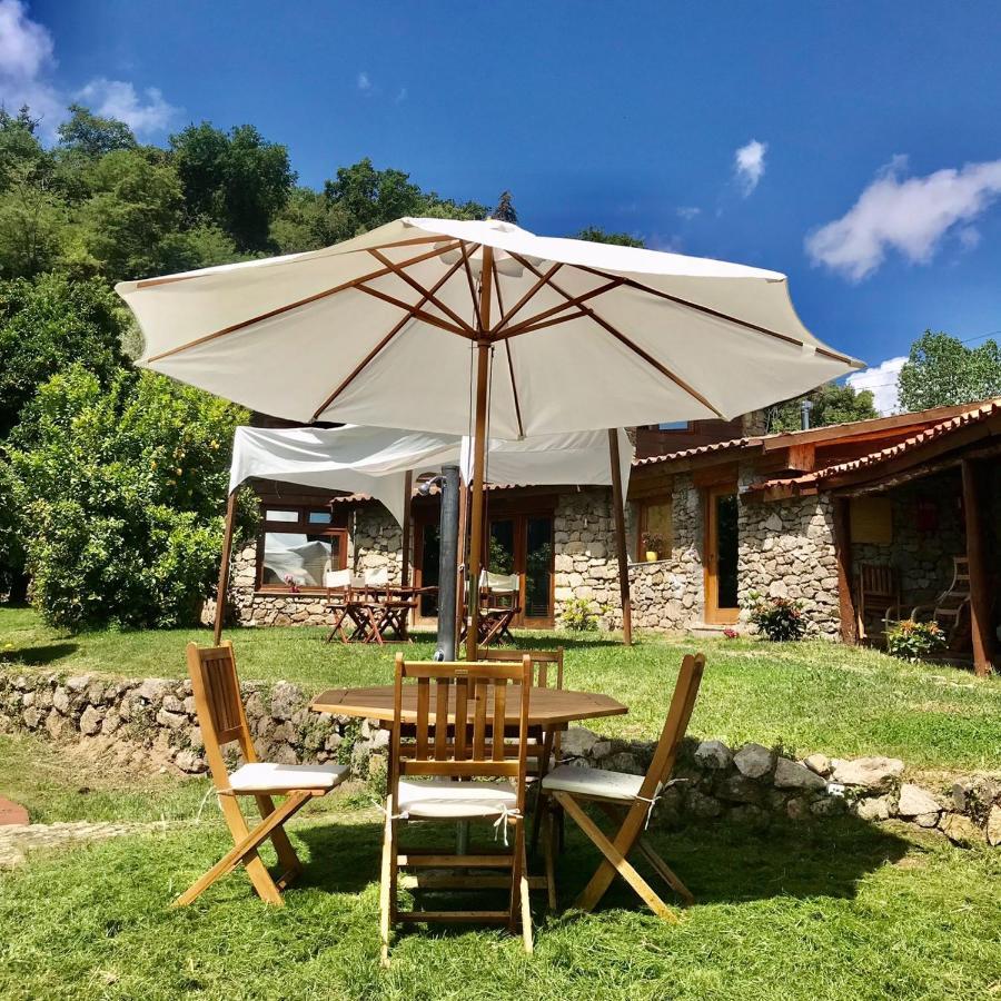 Quinta Dos Carvalhos The Wine House Farm In Center Of Lamego - Capital Of The Douro Villa Esterno foto