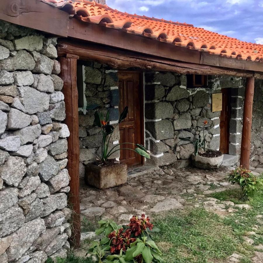 Quinta Dos Carvalhos The Wine House Farm In Center Of Lamego - Capital Of The Douro Villa Esterno foto