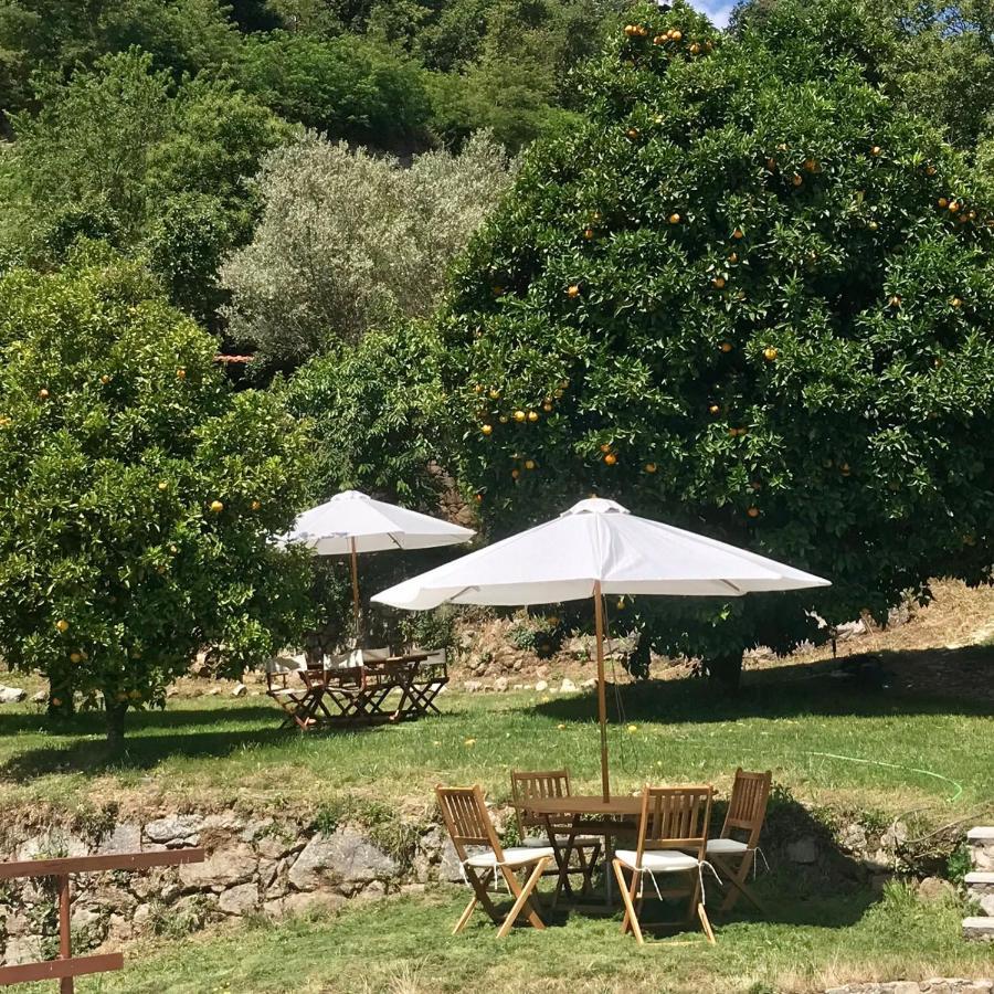 Quinta Dos Carvalhos The Wine House Farm In Center Of Lamego - Capital Of The Douro Villa Esterno foto