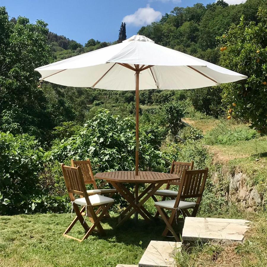 Quinta Dos Carvalhos The Wine House Farm In Center Of Lamego - Capital Of The Douro Villa Esterno foto