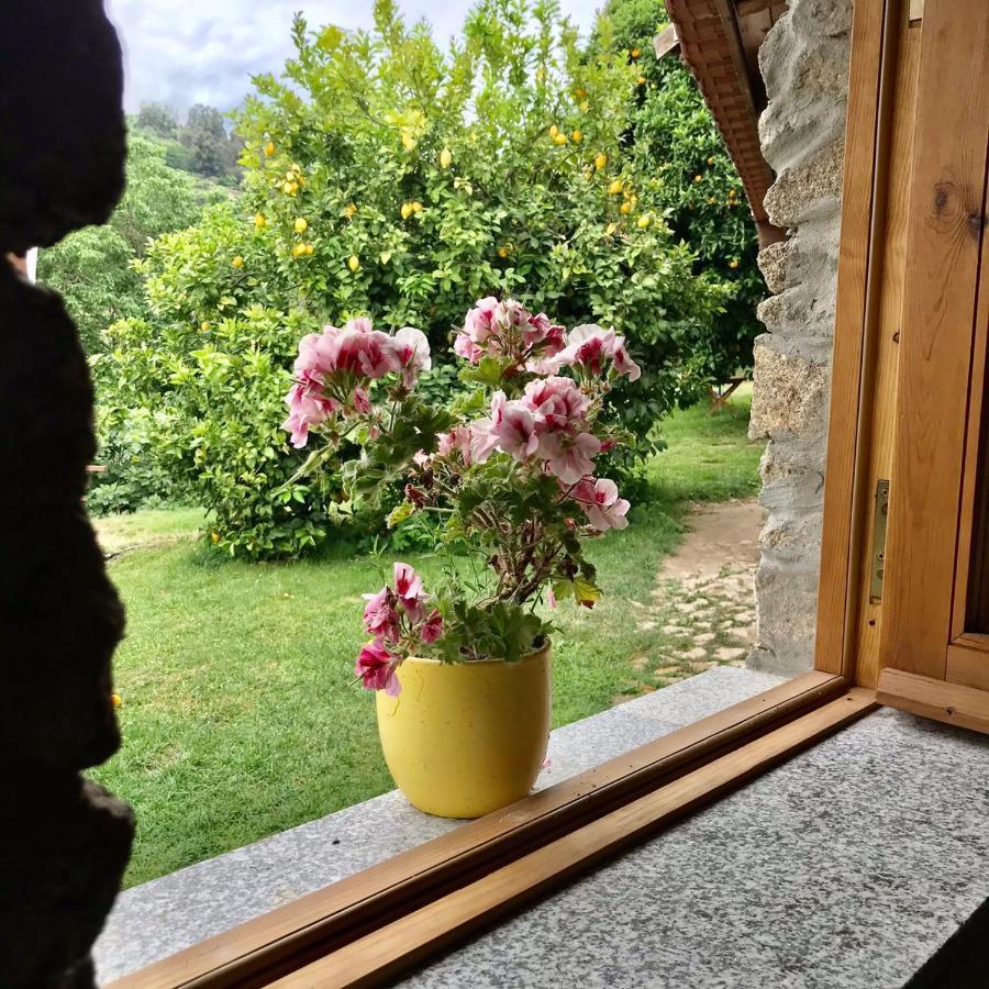 Quinta Dos Carvalhos The Wine House Farm In Center Of Lamego - Capital Of The Douro Villa Esterno foto