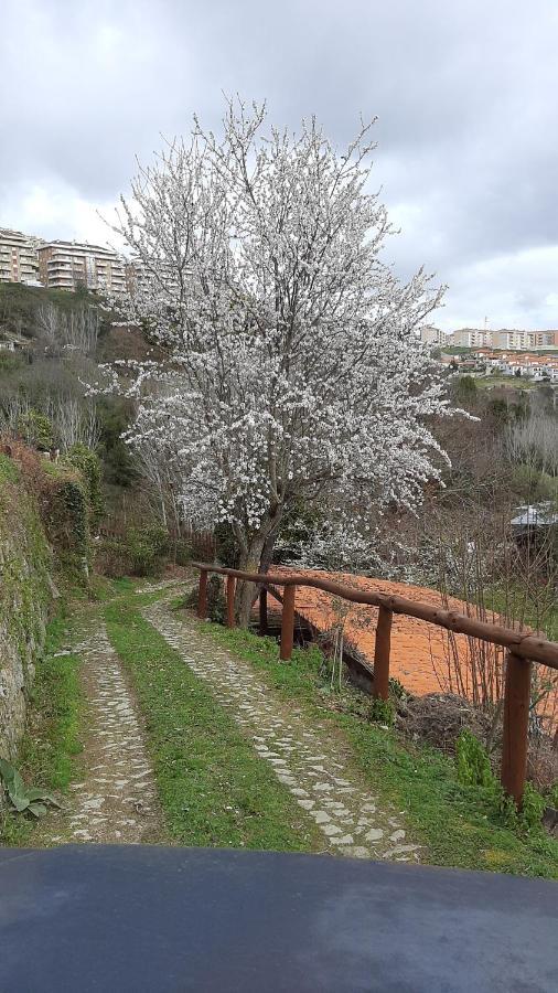 Quinta Dos Carvalhos The Wine House Farm In Center Of Lamego - Capital Of The Douro Villa Esterno foto